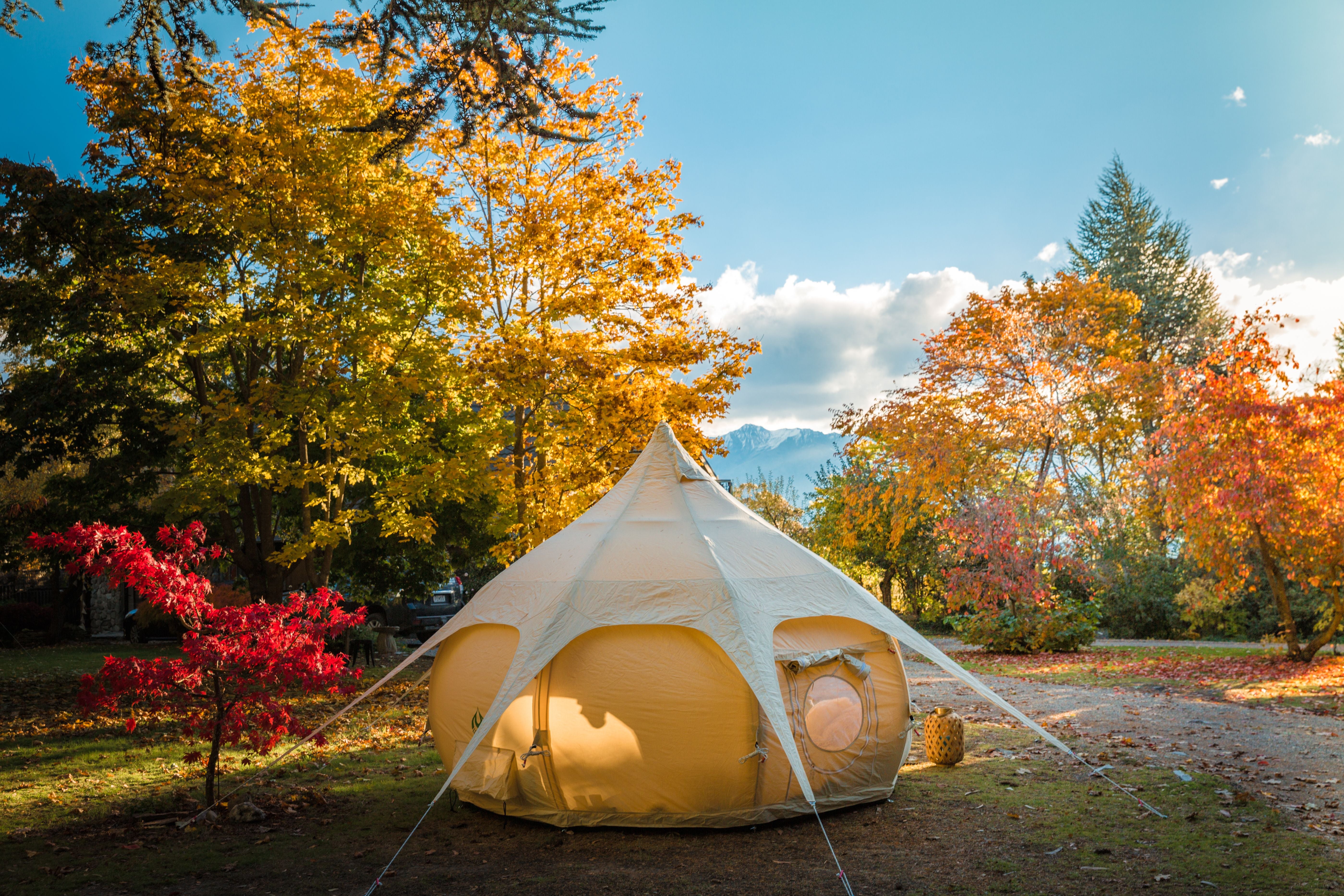 3m Air Bud Tent