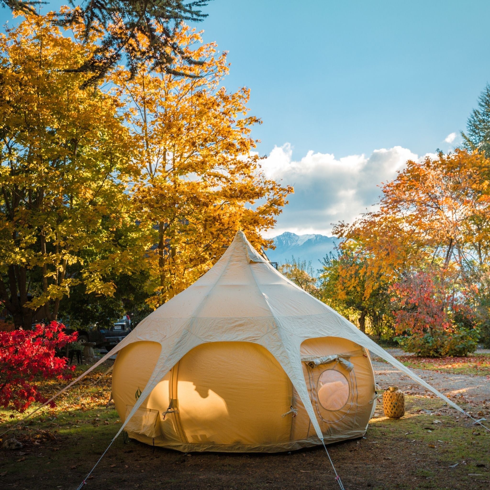 3m Air Bud Tent